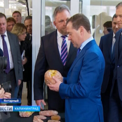 Дмитрий Медведев посетил калининградский янтарный комбинат
