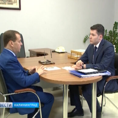 Дмитрий Медведев и Антон Алиханов обсудили развитие туризма в Калининградской области