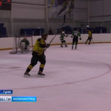 Хоккей: «Ледокол» обыграл «Гризли» со счётом 6:1