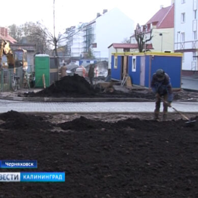 До конца года в Калининградской области благоустроят более 70-ти  дворов и скверов