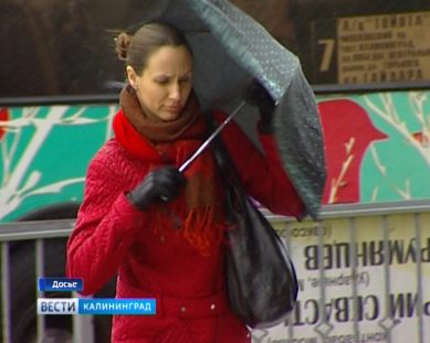 МЧС сообщает об ухудшении погоды в Калининградской области