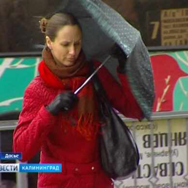 В Калининграде ожидается усиление ветра до 16 м/с