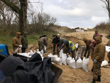 На Куршской косе работники нацпарка срочно укрепляют берег