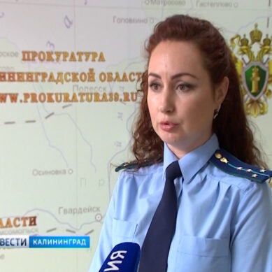 В Калининграде прокуратура заставила наказать судебных приставов