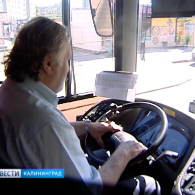 В Калининграде некому водить автобусы