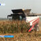 В Калининградской области в полтора раза вырос экспорт сельхозпродукции
