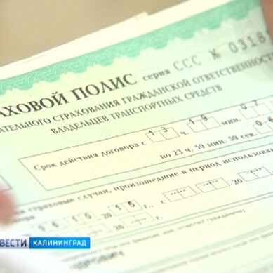 В Калининградской области подсчитали случаи мошенничества в сфере страхования