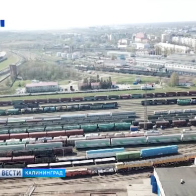 В Калининградской области начали разработку стратегии развития экспорта