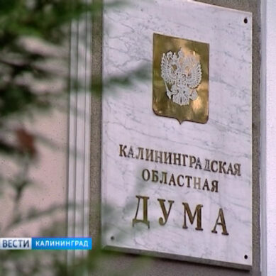 Областные депутаты обсудили введение новых льгот в Калининградской области