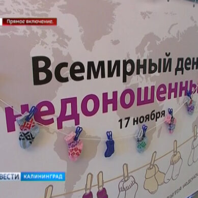 В театре кукол проходит праздник, посвящённый Международному дню недоношенных детей