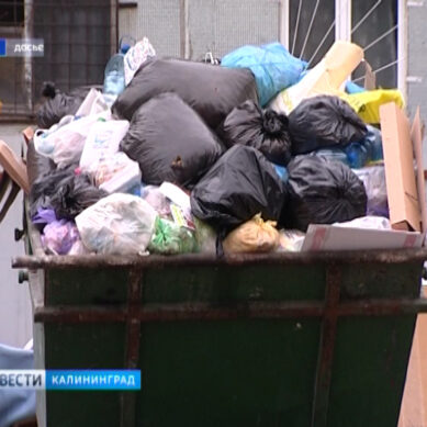 В Калининградской области установили тариф на вывоз отходов