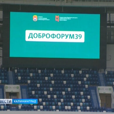 На стадионе «Калининград» прошёл областной форум добровольчества
