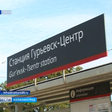Жители региона выберут время отправления рельсобуса по маршруту Гурьевск — Калининград
