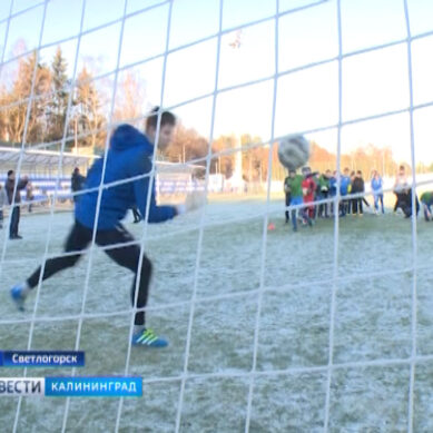 Игроки ФК «Балтика» провели мастер-класс для юных футболистов