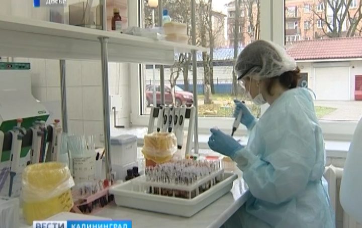 С начала года в Калининградской области выявлено 433 случая заражения ВИЧ-инфекцией