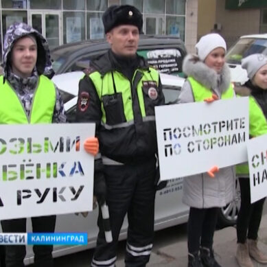 Юные инспекторы дорожного движения обратились к жителям Калининграда