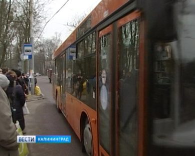 В Калининградских автобусах появились валидаторы электронной оплаты за проезд