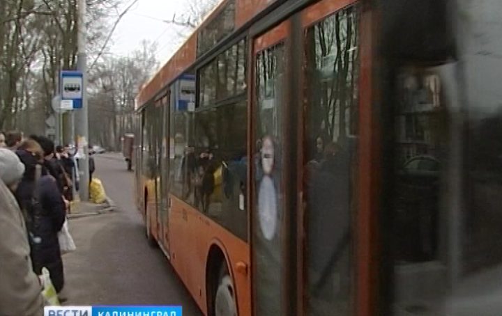 «Калининград-ГорТранс» отменил школьные и общегражданские проездные