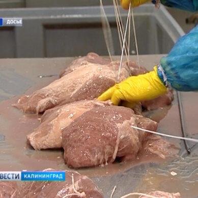 Алиханов хочет помочь мясопереработчикам справится с последствиями АЧС