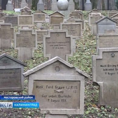 В области почтили память погибших в Первой мировой войне
