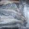 В Калининградской области задержали 6,3 тонны мороженой рыбы из Турции