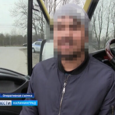 В Калининграде сотрудники ГИБДД  задержали водителя маршрутки по подозрению в даче взятки