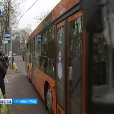 В Калининграде на четырёх улицах появятся выделенные полосы для общественного транспорта