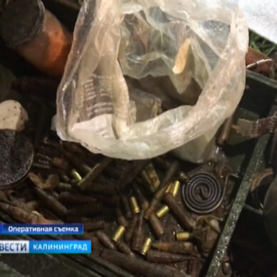 Взрывотехники ОМОН обнаружили боеприпасы и оружие