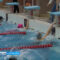 В Калининграде завершился чемпионат области по плаванию