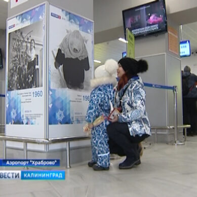 Телеканал «Россия -1» представил в аэропорту «Храброво» новогоднюю фотовыставку