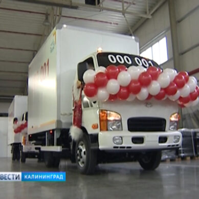 В Калининградской области запустили серийное производство грузовиков Hyundai
