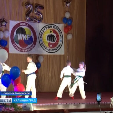 Клуб боевых искусств «Дзаншин» отметил 25-летие