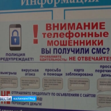 В Калининградской области активизировались телефонные мошенники