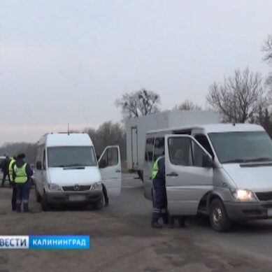 На маршрутах Калининградской области почти не осталось нелегальных перевозчиков