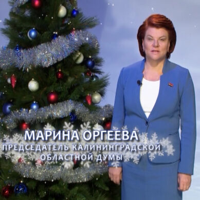 Поздравления с Новым годом от Марины Оргеевой