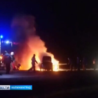 На трассе Калининград — Нестеров инспекторы ДПС спасли виновника ДТП из горящего авто