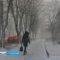 В Калининграде и области установится облачная и прохладная погода