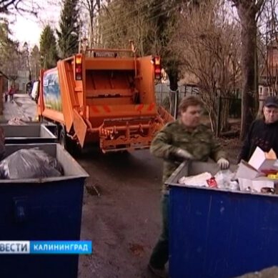 Власти Калининграда наводят порядок с уборкой мусора