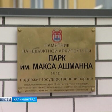 Антон Алиханов утвердил охранные зоны для парка Макса Ашманна
