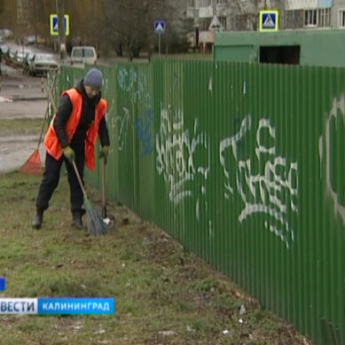 Жители Калининградской области могут сообщить о переполненном мусорном контейнере онлайн