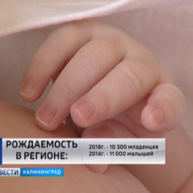 За январские каникулы в Калининградской области на свет появились 178 малышей
