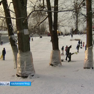 Кататься на горке в Центральном парке Калининграда стало безопаснее