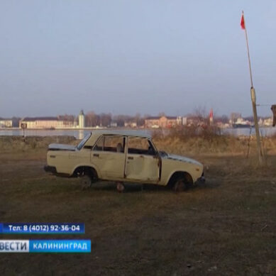 Власти Калининграда попросили горожан жаловаться на брошенные авто