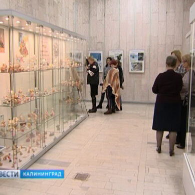 Калининградский историко-художественный музей организовал выставку «Фарфоровая хрупкость фауны»