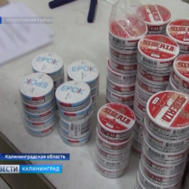 Калининградские таможенники задержали 295 банок некурительного табака