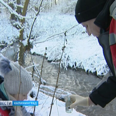 Экологи проверили состояние реки Лесной в Калининграде