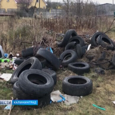 В Калининграде появятся пункты приёма старых автомобильных шин