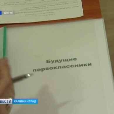 26 января в школах Калининграда начнется прием заявлений в первые классы