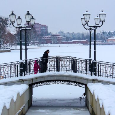 Лыжи, снег и Новый год: за что россияне любят зиму