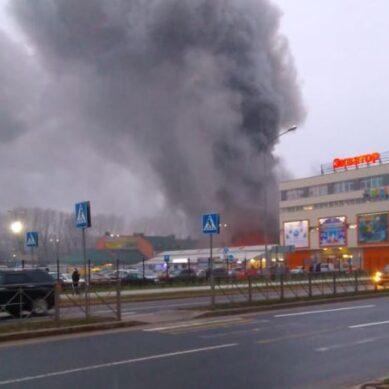 В Калининграде горел рынок «Сельма» (видео)